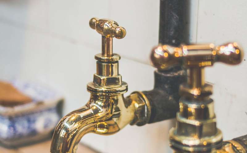 Design and Plant New Garden